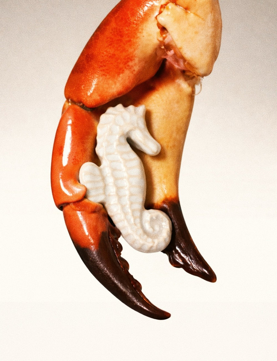 Porte-couteaux “L’hippocampe Coudre” - Set de 6