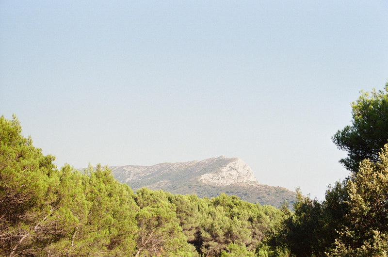 LA PROVENCE PAR COUDRE | © BLOOMITJE